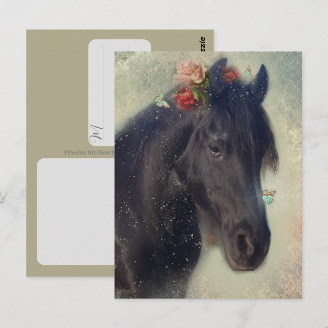 Cavalo Frísio - Cartão Postal (Frente/Verso)