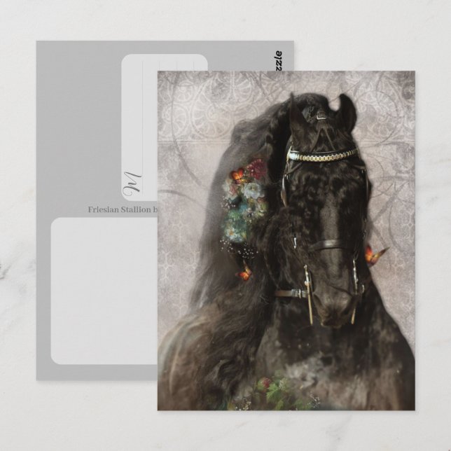 Cavalo Frísio - Cartão Postal (Frente/Verso)