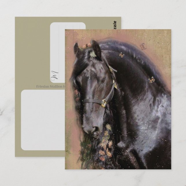 Cavalo Frísio - Cartão Postal (Frente/Verso)