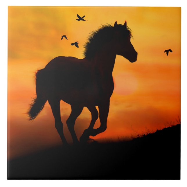 Cavalo Galopante ao Sol com Natureza de Aves (Frente)