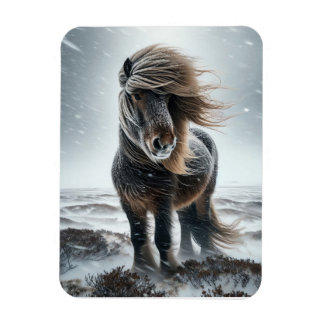Cavalo Islandês em seu Elemento Ímã