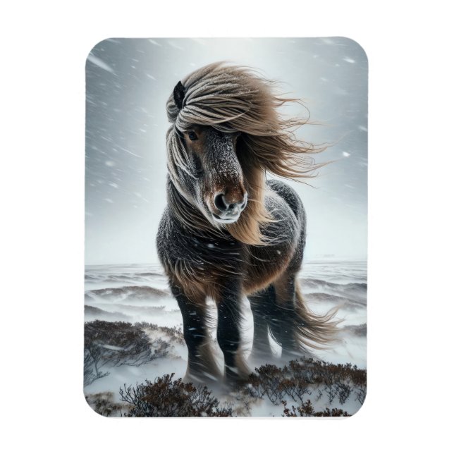 Cavalo Islandês em seu Elemento Ímã (Vertical)