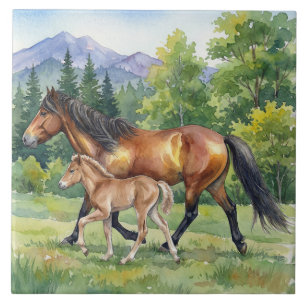 Cavalo Islandês Sola e Potro em Prado de Montanha