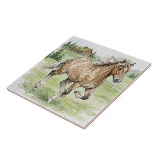 Cavalo islandês Stjarna galopando em prado