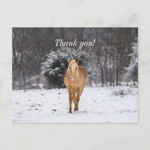 Cavalo Loiro Caminhando Na Neve Cartão Postal de A