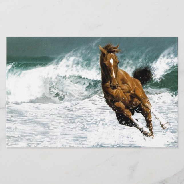 Cavalo marinho (Frente)