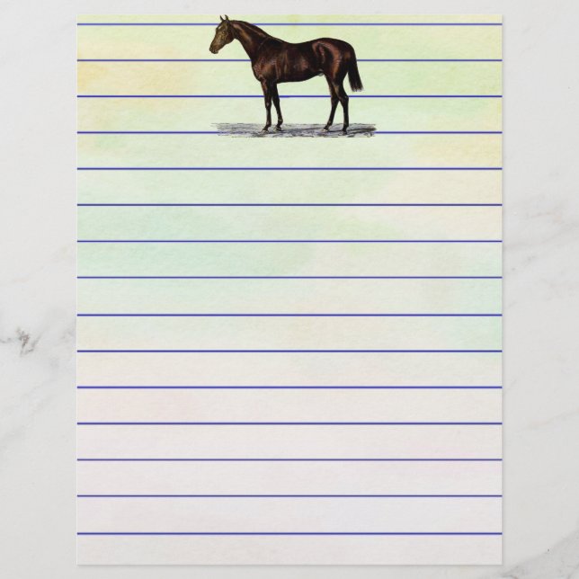 Cavalo Marrom (Frente)