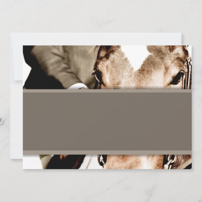 Cavalo Marrom e Branco (Frente)