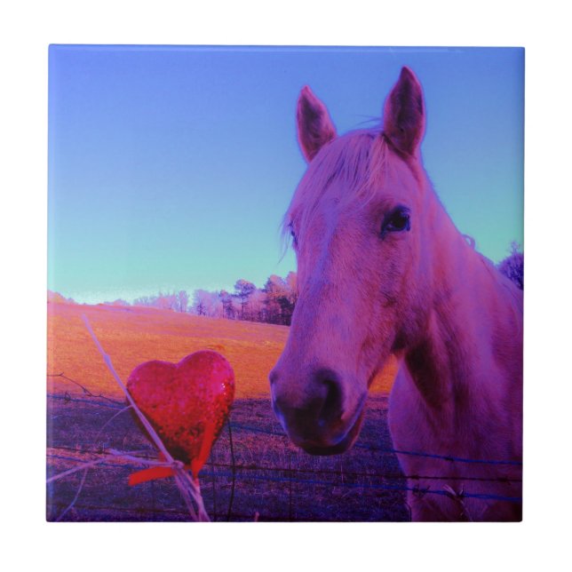 Cavalo Marrom e Coração Vermelho (Frente)