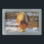 Cavalo marrom e minúsculo creme na neve.<br><div class="desc">Cavalo marrom e minúsculo creme na neve. Foto de Sandy Closs. Pony, Ponies, cavalos miniatura, equino, equestre, cowboy, cowboy, country oeste, américa russa, animal fazenda</div>