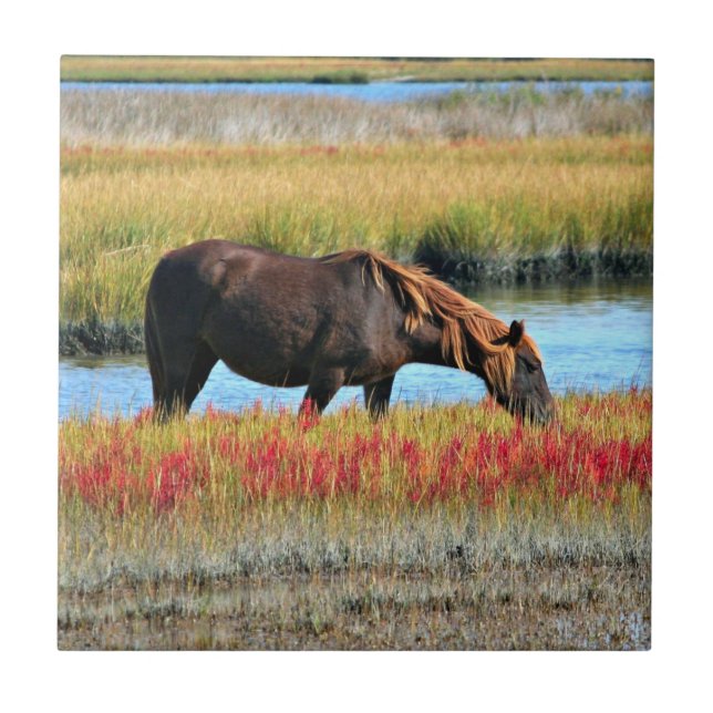 Cavalo Marrom Pastando junto ao Prado Aquático (Frente)