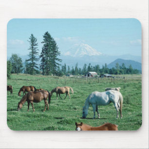 Cavalo Mousepad