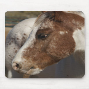 Cavalo Mousepad