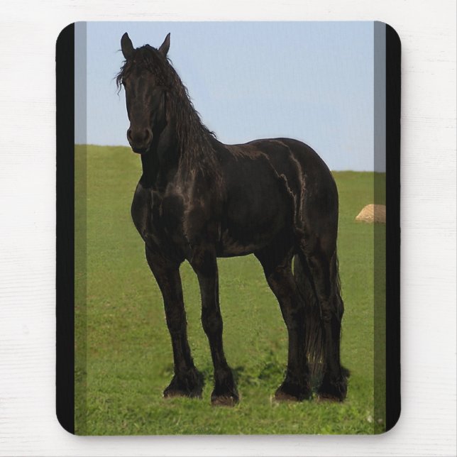 Cavalo Mousepad #9 do frisão (Frente)