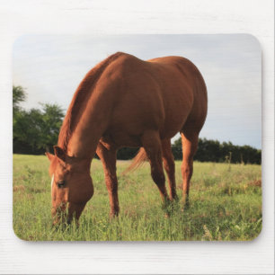 Cavalo Mousepad da castanha