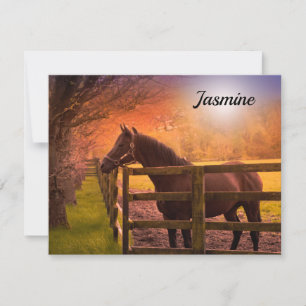 Cavalo na Paddock Personalizado