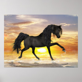 Cavalo Negro 28" x 20", Poster de valor (Matte)