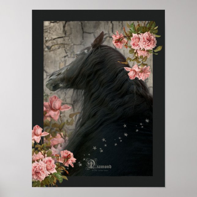 Cavalo Negro - Poster (Frente)