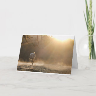 Cavalo no Cartão de condolências de Equídeos Luzes