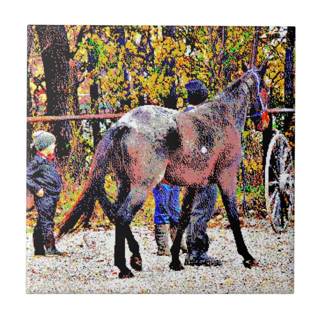 Cavalo Novo Amish de 8 bits (Frente)
