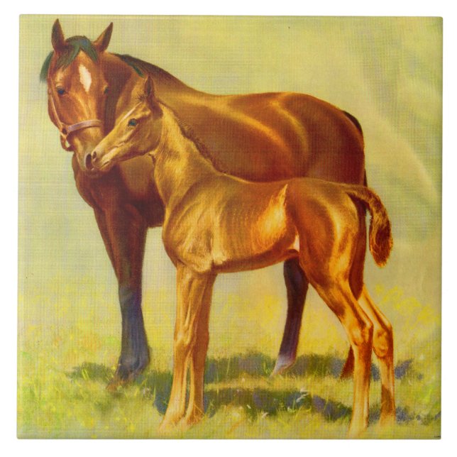 cavalo pequeno grande (Frente)