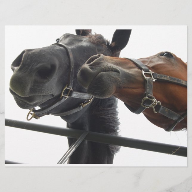 Cavalo Por Aí (Frente)