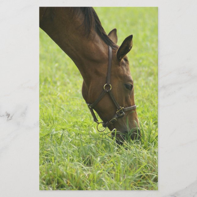 Cavalo Por Aí (Frente)