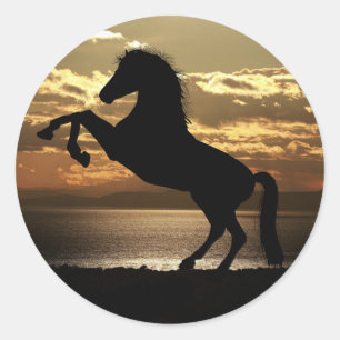 Cavalo preto/ adesivos marrons.