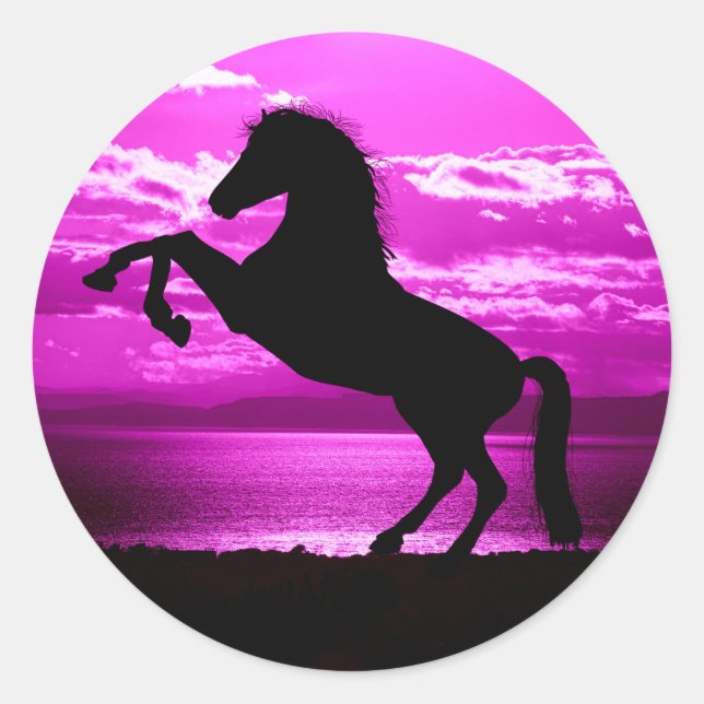 Cavalo preto/ adesivos roxos. (Frente)
