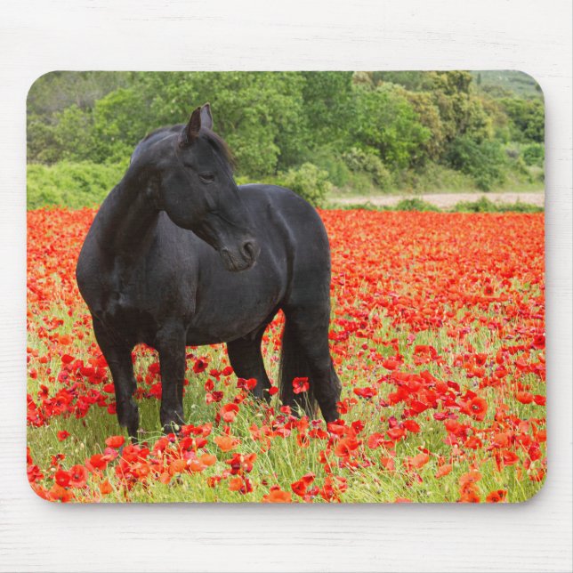 Cavalo Preto e Papoulas Mouse Pad (Frente)