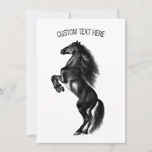 Cavalo Preto e Preto - Desenho Preto e Branco