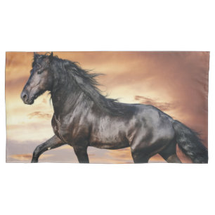 Cavalo Preto Lindo