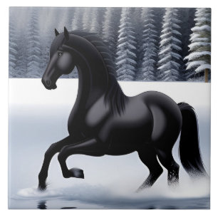 Cavalo Preto Majestoso Dançando em uma Superfície