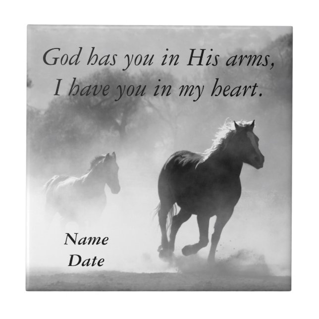 Cavalo que galopa fora da névoa (Frente)