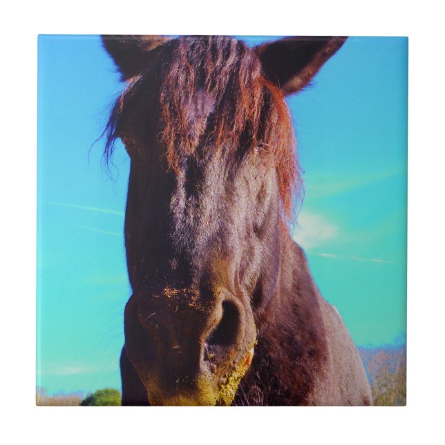 Cavalo Roxo com Boca Verde (Frente)