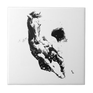 Cavalo Running