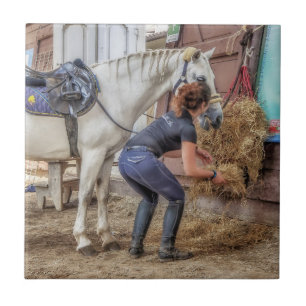 Cavalo selado no tempo de alimentação
