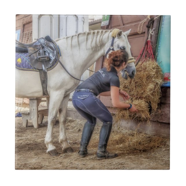 Cavalo selado no tempo de alimentação (Frente)
