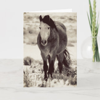 CAVALO SELVAGEM DO Cartão de Saudação Dobrado UTAH