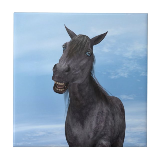 Cavalo Sorridente (Frente)