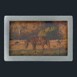 Cavalo Vermelho Brown, bosque de outono.<br><div class="desc">Cavalo Vermelho Brown, bosque de outono. Foto de Sandy Closs "gifts for cavalo amantes ", "i love cavalo", "cavalo presente", "cavalo marrom", cavalo, "cavalo presente", "animais de exploração", pônei, pôneis, "cavalo amante", "cavalos amantes"</div>