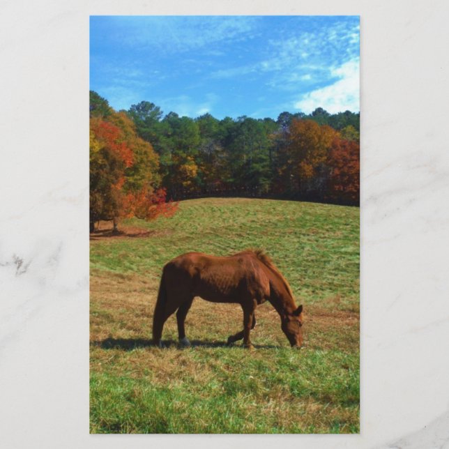 Cavalo vermelho castanho, árvores de queda, céus a (Frente)