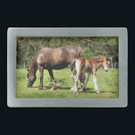 CAVALOS<br><div class="desc">Uma égua marrom e seu potro muito fofo.</div>