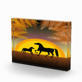 cavalos ao pôr do sol