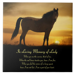 Cavalos: Azulejo Memorial com Bela Sentimento