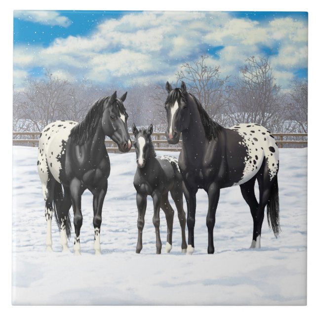 Cavalos de Appaloosa Pretos Na Neve (Frente)