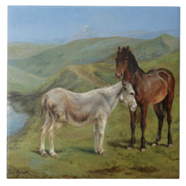 Cavalos de Cinza clara num campo (Equine Fazenda A