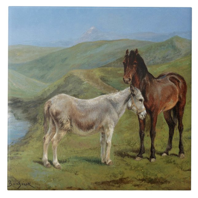 Cavalos de Cinza clara num campo (Equine Fazenda A (Frente)