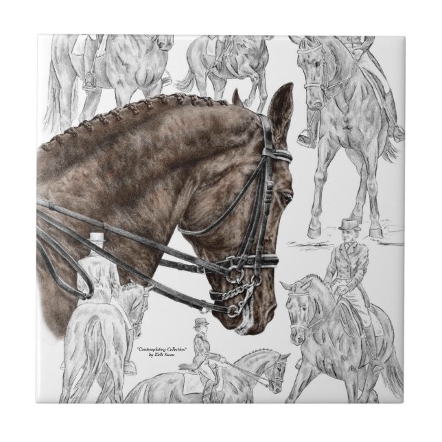 Cavalos de Dressagem Coletados FEI (Frente)