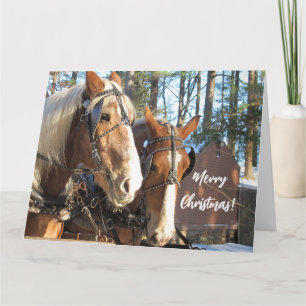 Cavalos de Inverno no Cartão de Natal de Sturbridg